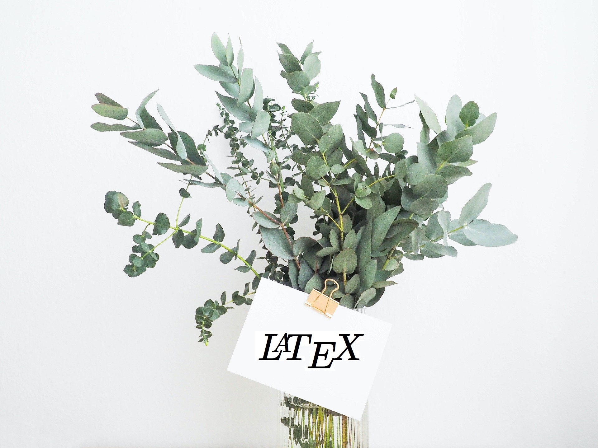 LaTeXと書かれた紙がピン止めされた、おしゃれな植物